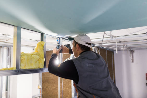 Best Insulation Contractor Near Me  in Candor, NC