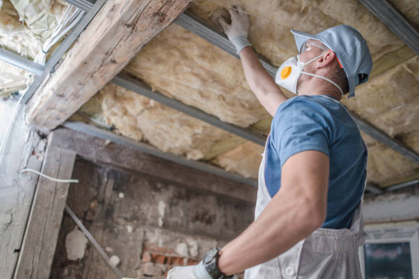 Best Soundproof Insulation Installation  in Candor, NC