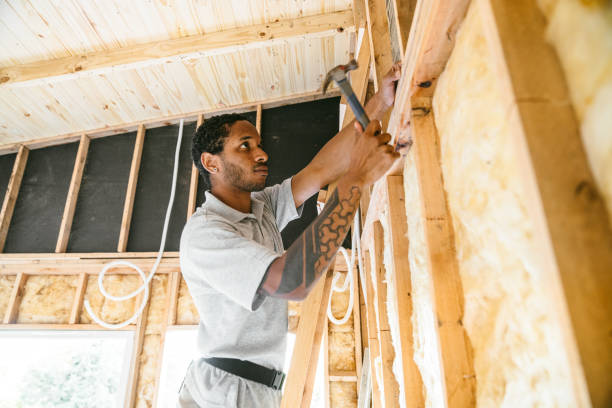 Best Insulation Contractors for Homes  in Candor, NC