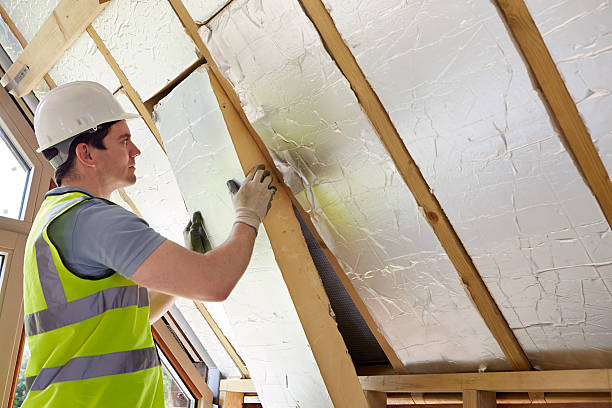 Best Fiberglass Insulation  in Candor, NC