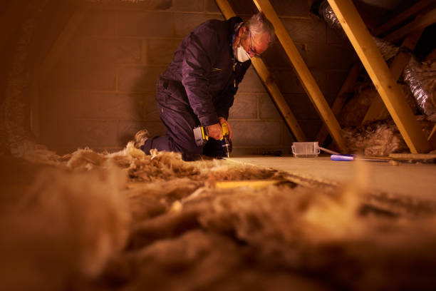 Best Wall Insulation Contractor  in Candor, NC